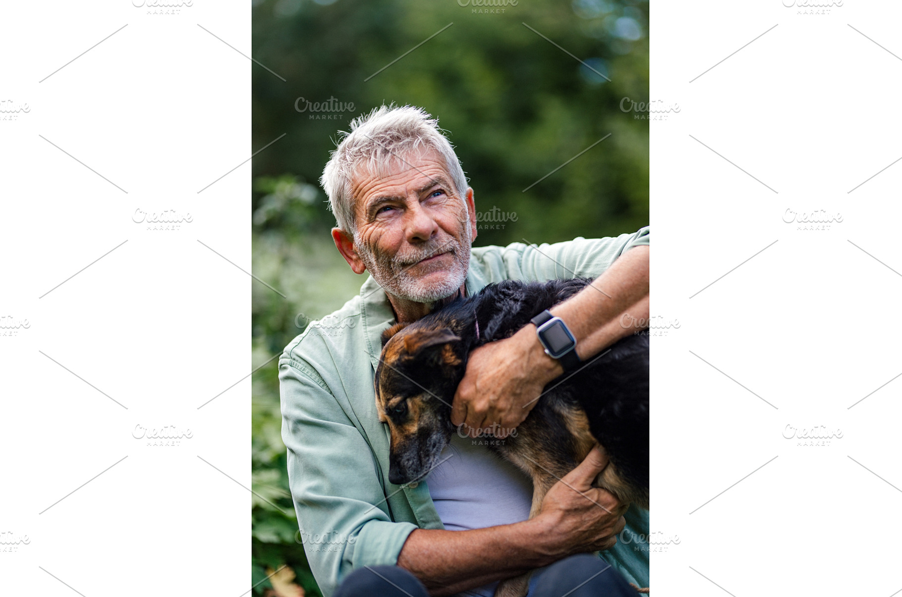 Older man spending quality time with, an Animal Photo by HalfPoint
