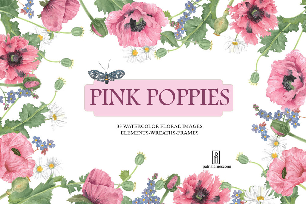 PINK POPPIES, an Illustration by patriziamoscone (Photo 1 of 7)