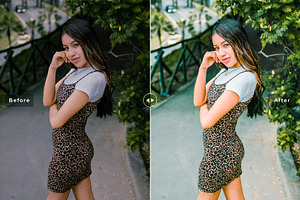 Dianella Pro Lightroom Presets