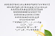 Ditmos – Display Font, a Script Font by NDNL Studio (Thumbnail 6 of 6)