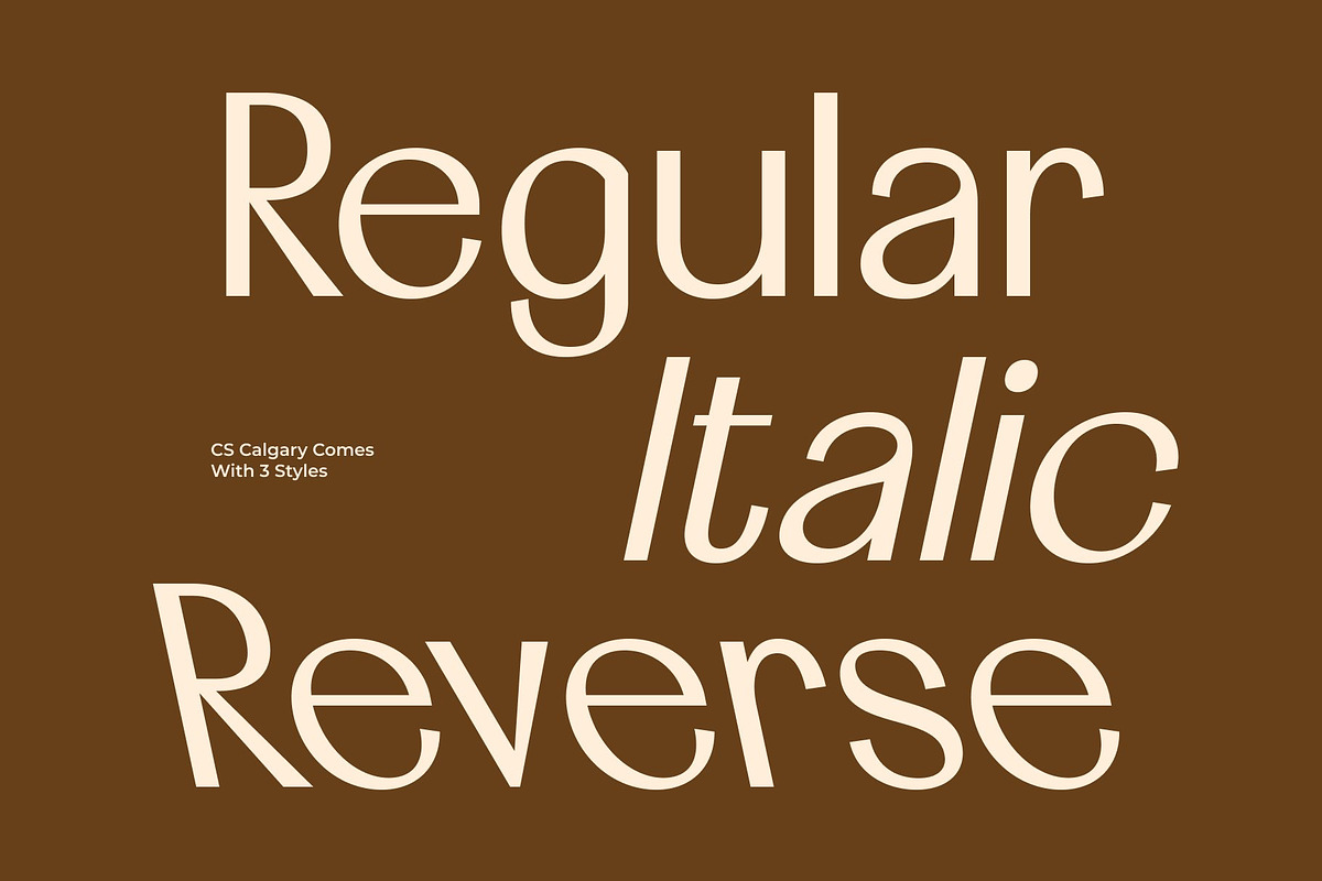 CS Calgary – Elegant Sans Serif, a Sans Serif Font by Craft Supply Co. (Photo 4 of 8)