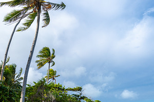 Anini Marae Beach on Huahine, French Polynesia, with turquoise w, a Nature Photo by GoodGoods