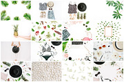 98% OFF | Tropical Bundle | 170 IN 1, a Photo by Floral Deco (Thumbnail 4 of 14)