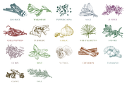 Hand Drawn Herbs & Spices, a Food Illustration by Linseed Studio (Thumbnail 10 of 10)