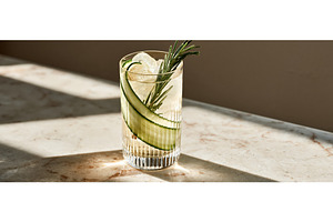 Elegant Cucumber Rosemary Gin Tonic, a Food & Drink Photo by piter.goskov