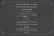 Dattge Hurty - Monoline Retro Font, a Script Font by StringLabs (Thumbnail 10 of 11)