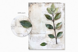 Scripted Botanical Collage Paintings