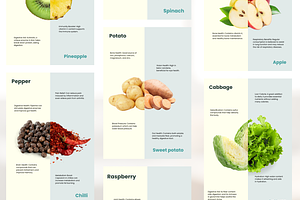 Dual Ingredient Infographic I Canva