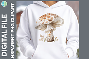Mushroom Illustration Bundle, 35 PNG, a Decorative Illustration by Enliven Designs (Thumbnail 4 of 8)