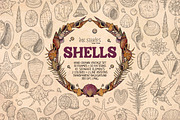 Shells, an Animal Illustration by Ink Stories (Thumbnail 1 of 21)