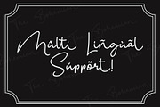 The Bohemian 2 Signature Font UPDATE, a Font by alphArtype (Thumbnail 8 of 10)