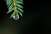 Feeling Depressed, an Object Graphic by Feelings (Thumbnail 3 of 5)