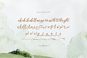 Taniella Roselinn Handwritten Script, a Script Font by gracetype_studio (Thumbnail 11 of 12)