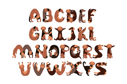 Dogs alphabet. Vector