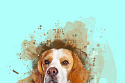 Aura Bloom Portraits PS Script, an Action Add-On by MRI STUDIO (Thumbnail 22 of 24)