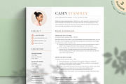 Resume/CV - The Standley, a Resume Template by CreativeLandStudio (Thumbnail 1 of 10)