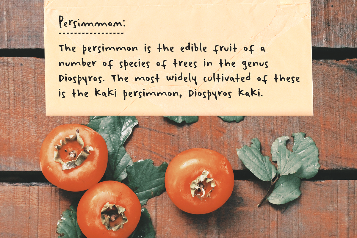 Winterbreak font and doodles set, a Handwritten Font by Ana's Fonts (Photo 5 of 8)