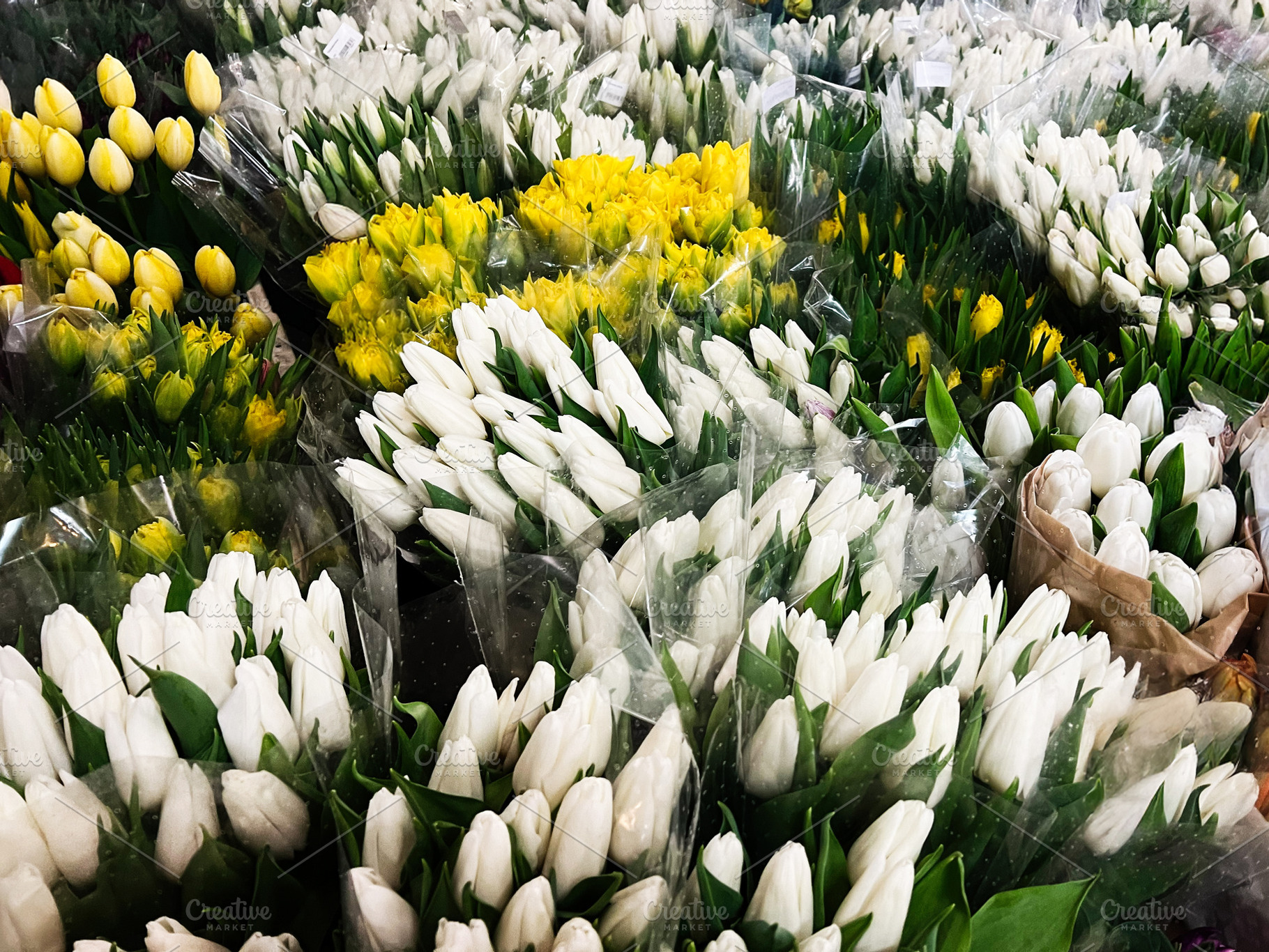 Abundant display of white and yellow tulips beautifully arranged for sale, a Photo by AS photostudio