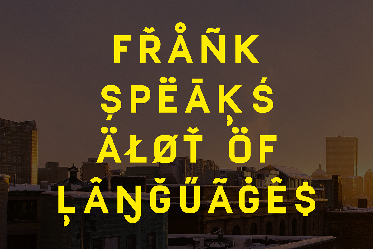 Frank - Display sans with 20 fonts preview 7