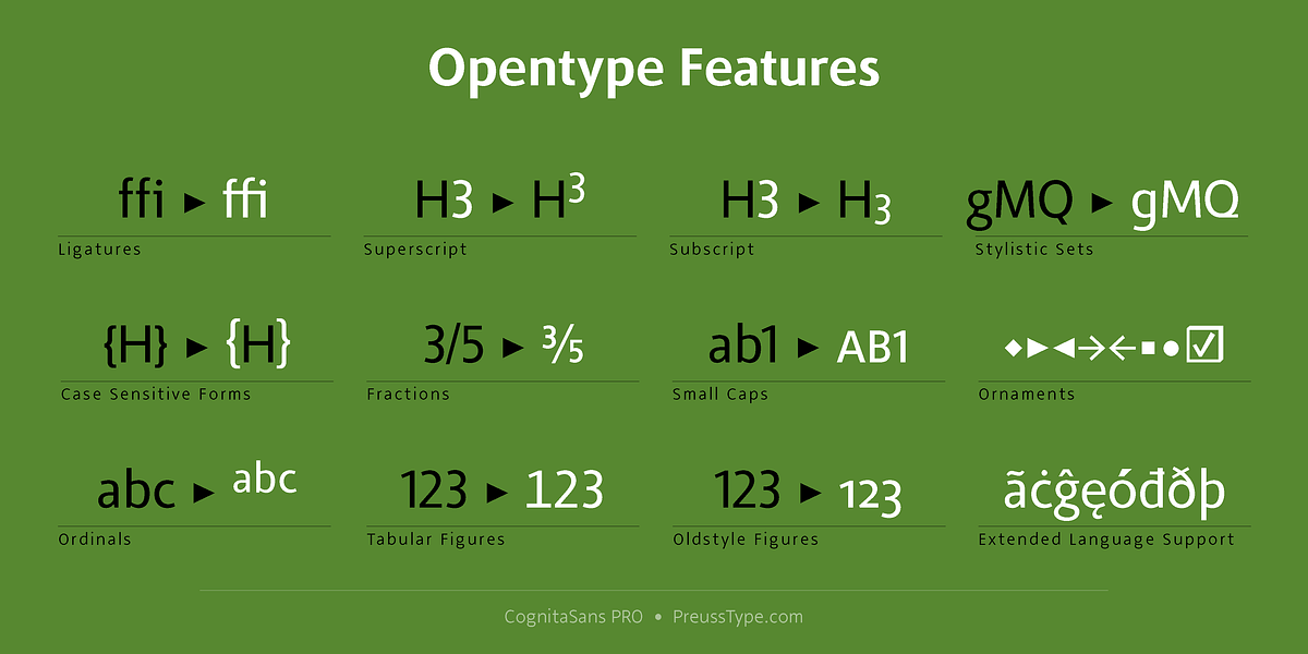 CognitaSans PRO, a Sans Serif Font by preussTYPE (Photo 3 of 8)