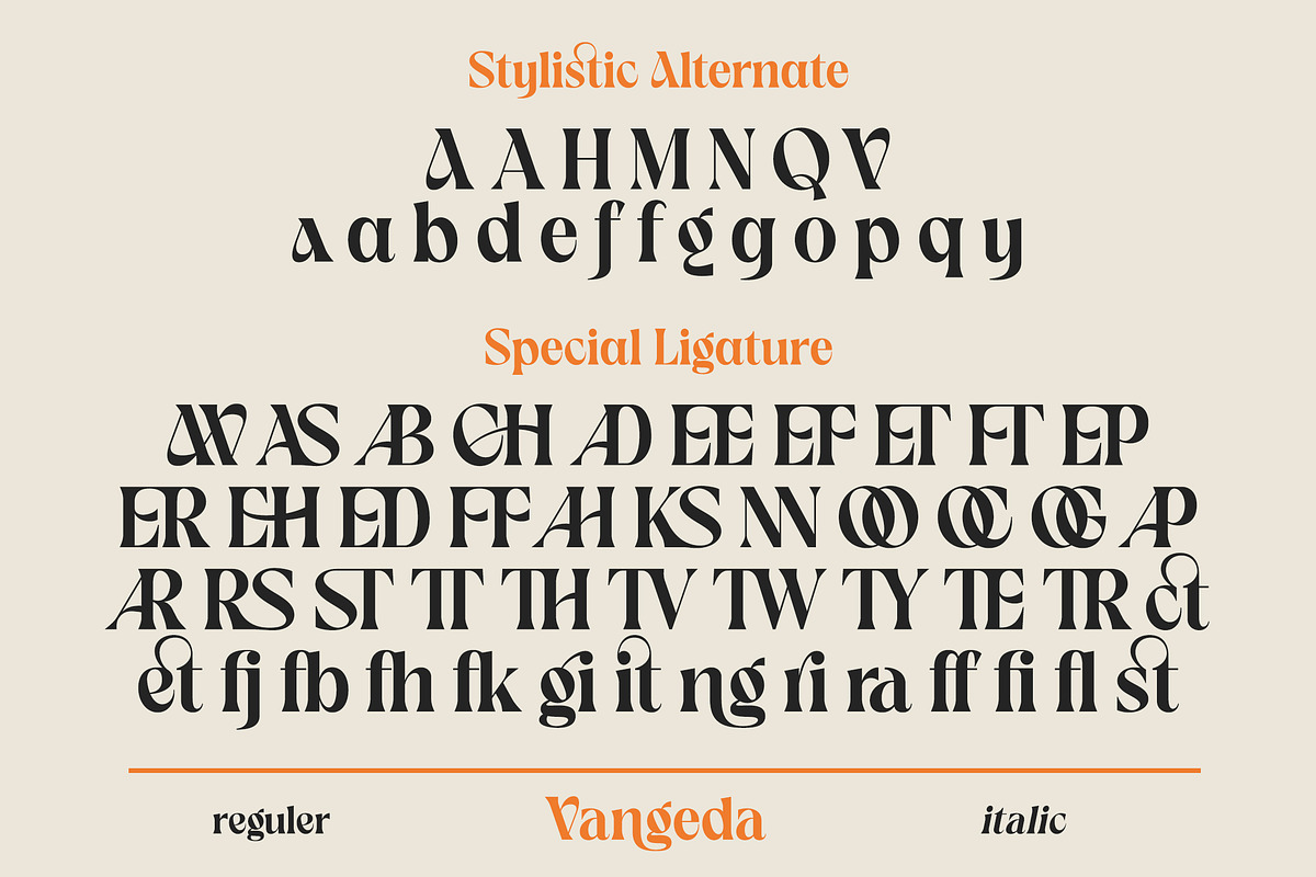 Vangeda - Modern Serif Font, a Font by agnyhasyastudio (Photo 8 of 9)