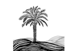 Graphic palm tree . hand drawn. Not, an Illustration by Nenahliadava Design