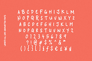 Laperito Handwriting, a Script Font by 24Design Studios (Thumbnail 8 of 8)