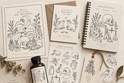 Apothecary & Curiosities vector, an Object Illustration by Elena Mykhailenko (Thumbnail 5 of 7)