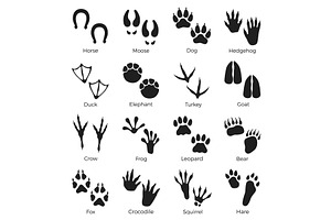 Black animals footprints. Paws, an Animal Illustration by YummyBuum