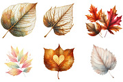 Watercolor Autumn Leaf Clipart, an Illustration by DreamArtGraphic (Thumbnail 6 of 6)