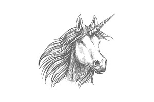 Unicorn Horse Animal Vector Sketch