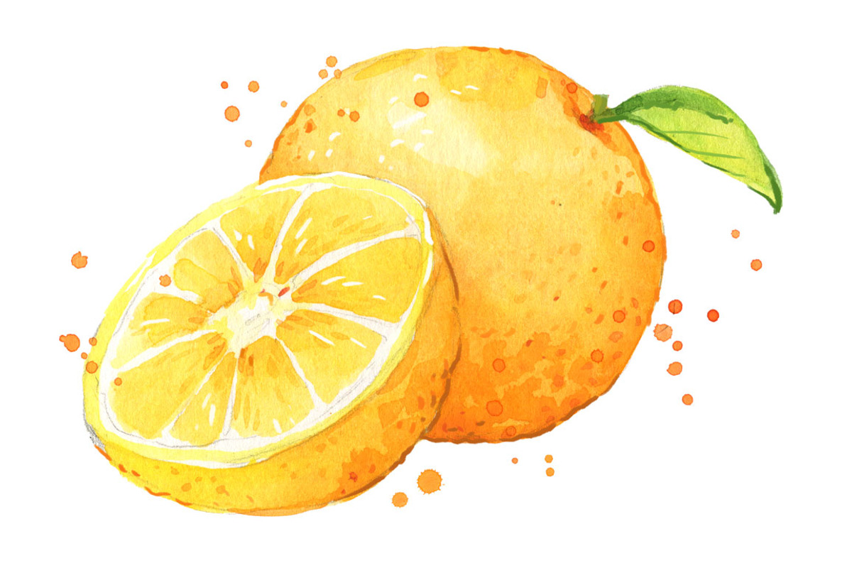 Set of orange foods, watercolor, a Food Illustration by Kamenuka (Photo 3 of 4)