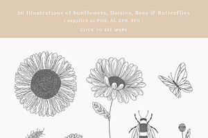 Summer Sunflowers Vector Graphics