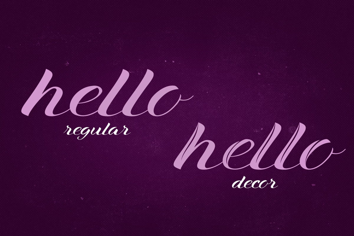 Xandra Script Font Family preview 7