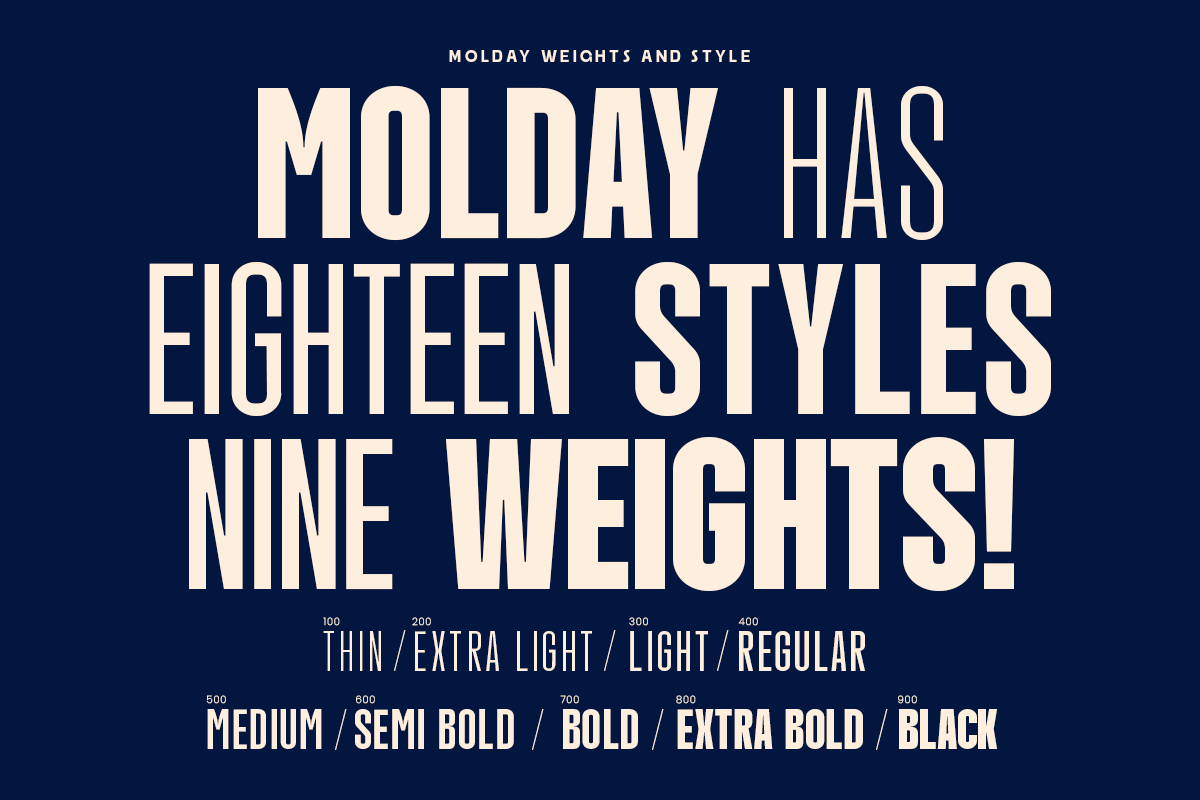 Molday – Modern Font Family, a Sans Serif Font by roomspace creative lab (Photo 13 of 13)