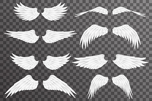 White wings bird angel fly
