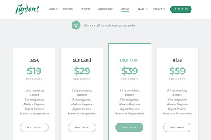 FlyDent-Doctor & Dentist WP Theme