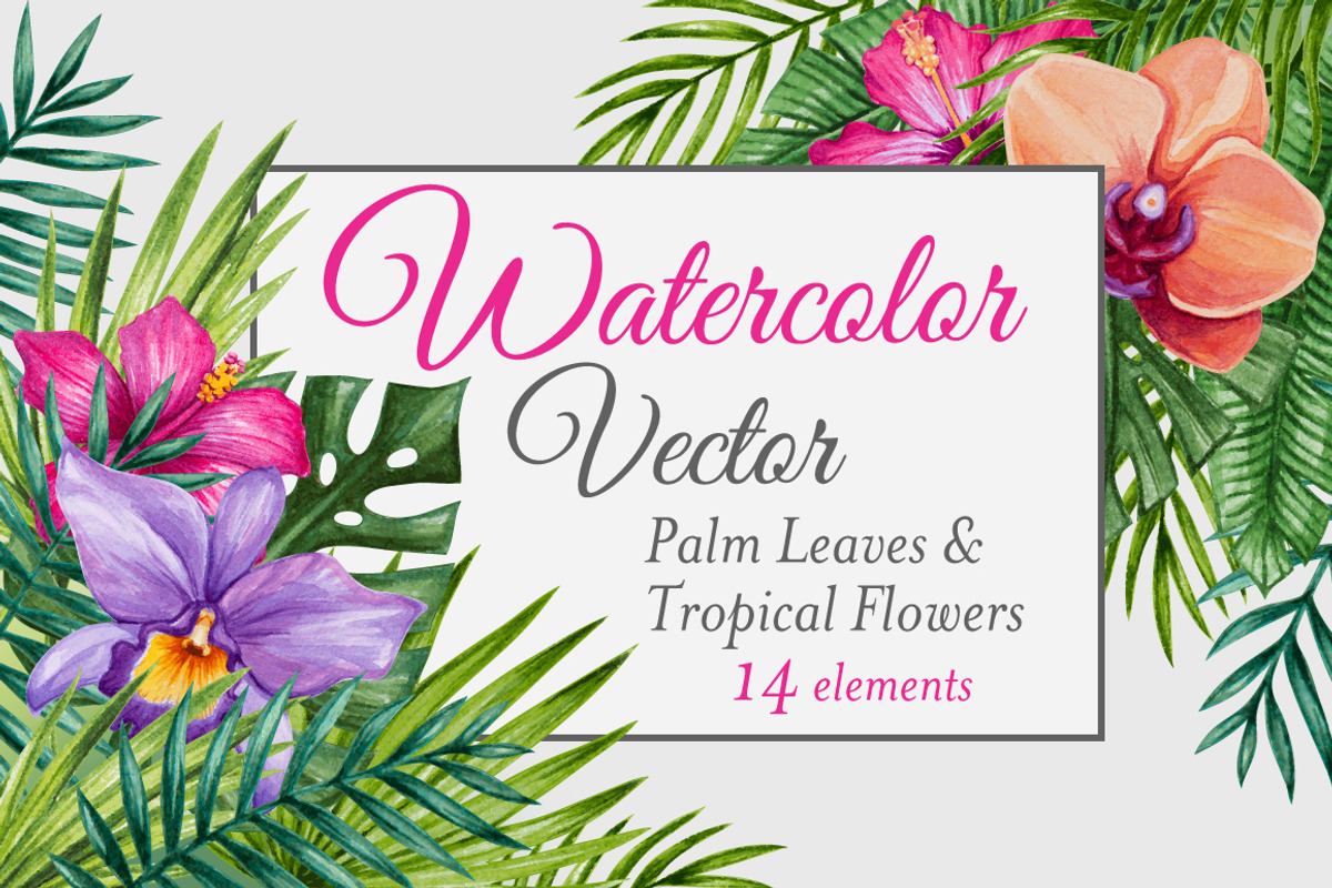 Vector Watercolor Tropical set, a Decorative Illustration by Bigio Designs (Photo 1 of 4)