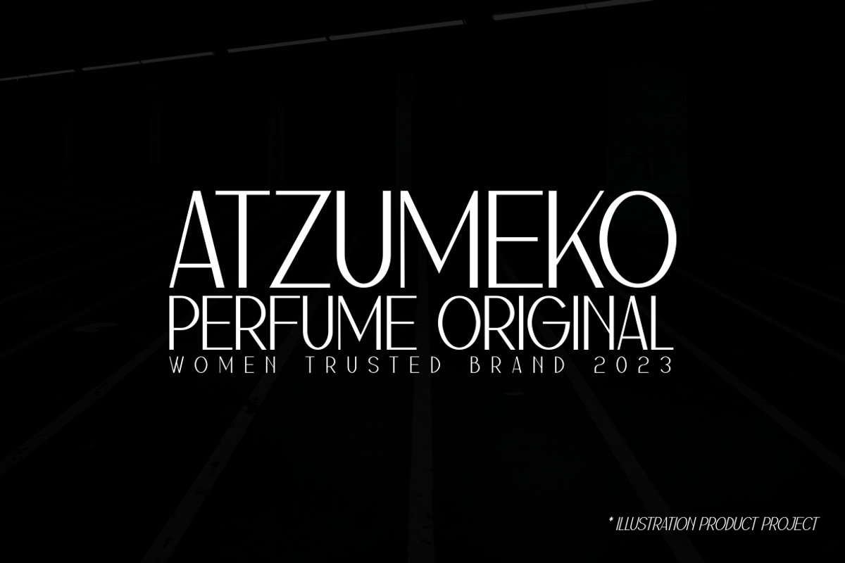Atzumeko Slim Font, a Sans Serif Font by Monoletter Studio (Photo 3 of 4)