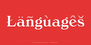 Aureata, a Serif Font by preussTYPE (Thumbnail 5 of 10)