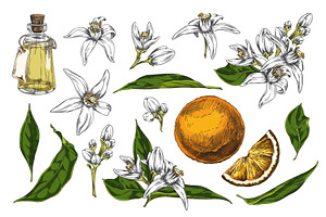 Vector set of hand drawn, an Object Illustration by Sabelskaya