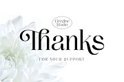 Thenie Dawson - Stylish Serif Font, a Serif Font by Grezline Studio (Thumbnail 12 of 12)
