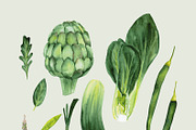 Watercolor vegetables, a Food Illustration by LeriaArt watercolor (Thumbnail 2 of 5)