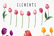 Watercolor tulips clipart bundle, an Object Graphic by MiraBell (Thumbnail 4 of 5)
