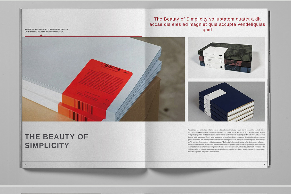 Minimal Studio Brochure Template, a Brochure Template by Boris Cupac (Photo 4 of 7)