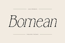 Bornean Pixel