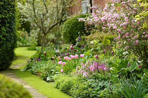 Cottage garden path winding through lush spring planting beds wi, a Photo by Studio ANNA