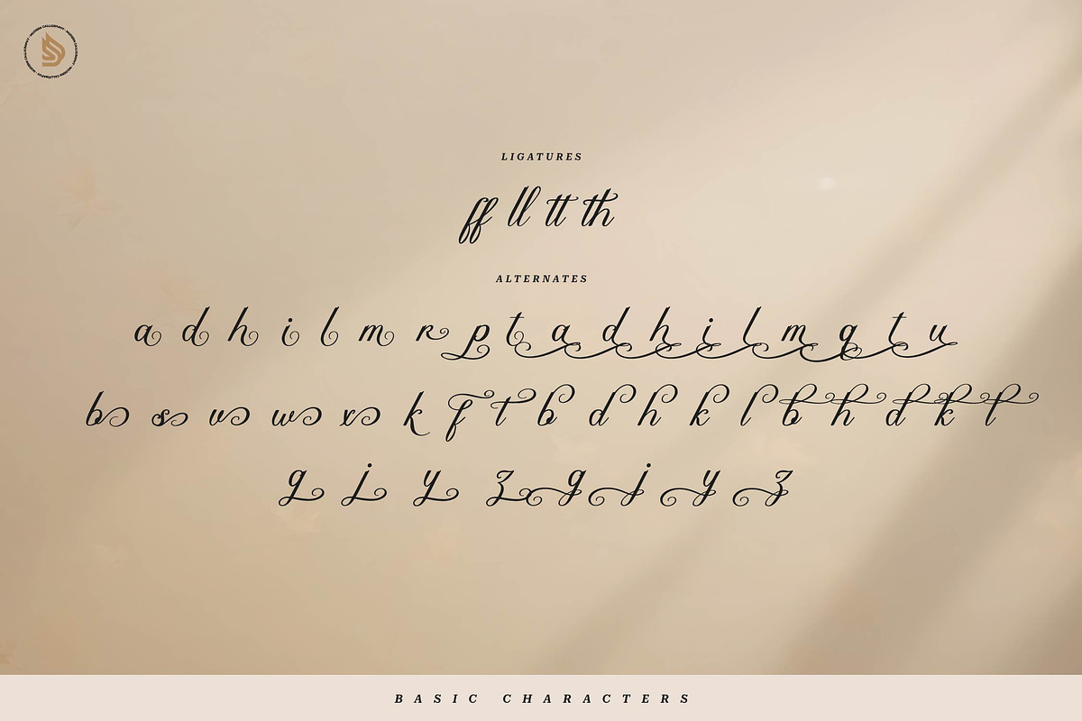Katarina Delvor | Modern Calligraphy, a Script Font by gracetype_studio (Photo 15 of 15)