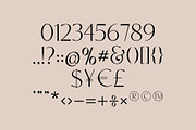 CARNIVAL Elegant Serif Font, a Serif Font by Anna Zakharchenko (Thumbnail 12 of 14)