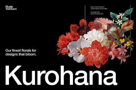 Kurohana Painted Florals Collection